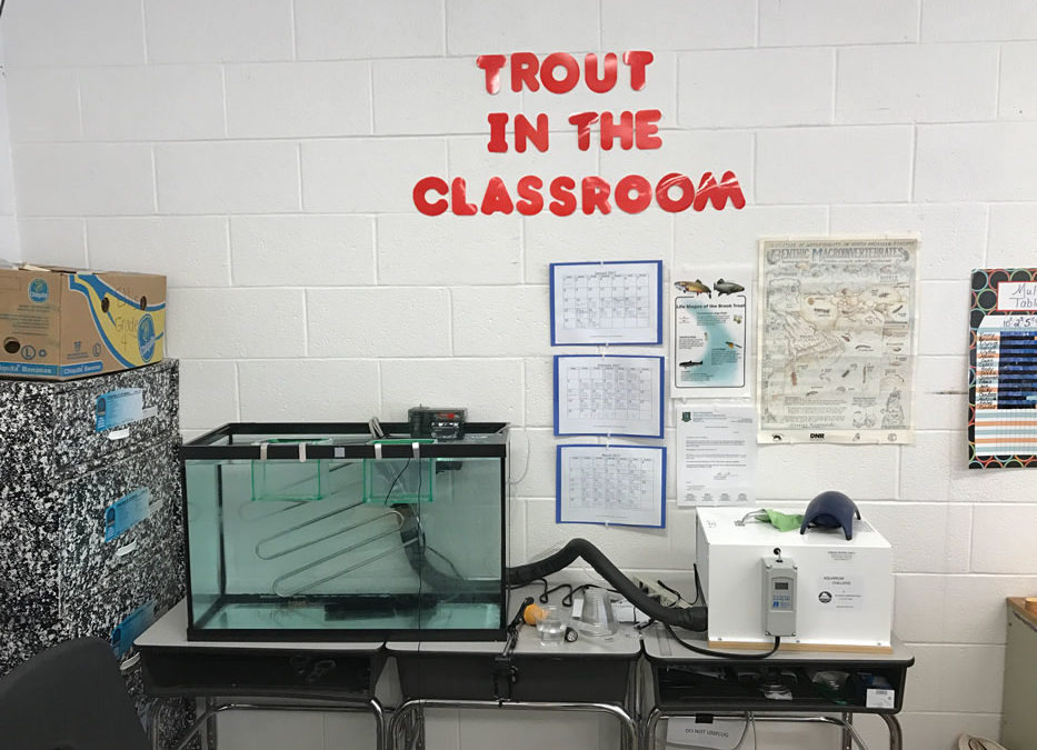 Trout in the Classroom Archives - Page 3 of 3 - Acton Wakefield Watersheds  Alliance