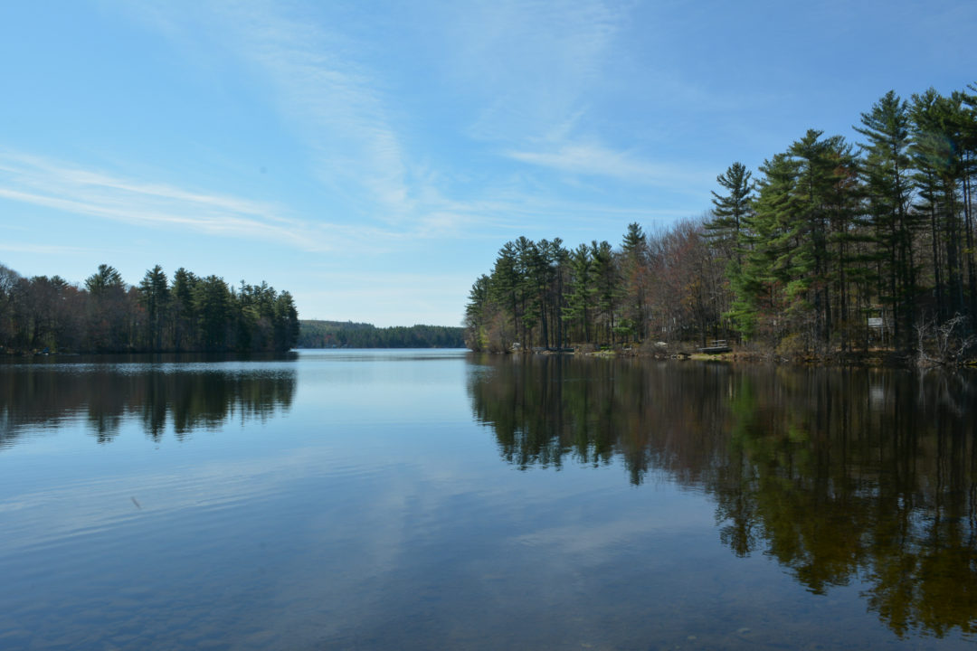 Wilson Lake Gallery | Acton Wakefield Watersheds Alliance