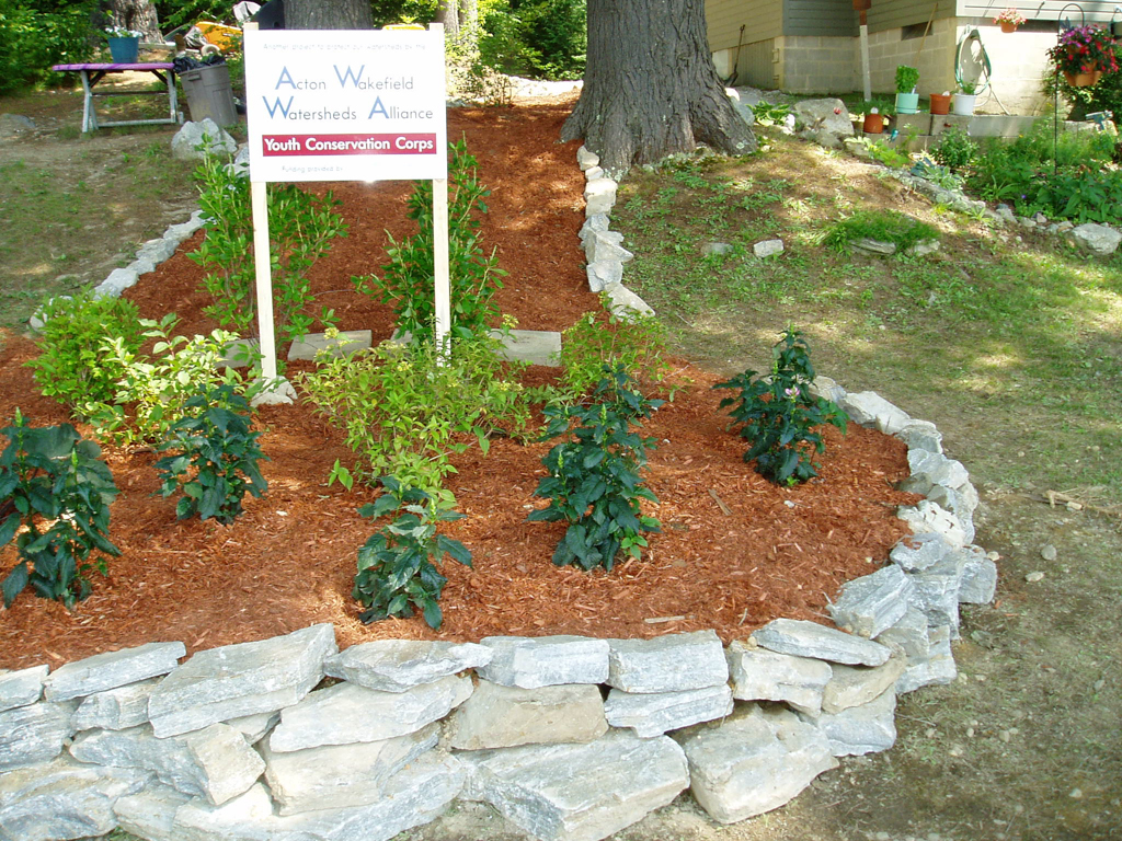 Build a Rain Garden — Little Falls Watershed Alliance