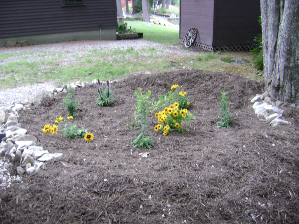 Rain Gardens: Do-It-Yourself Conservation Practices - Acton